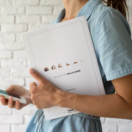 Brochure Alveringem - Projecten -